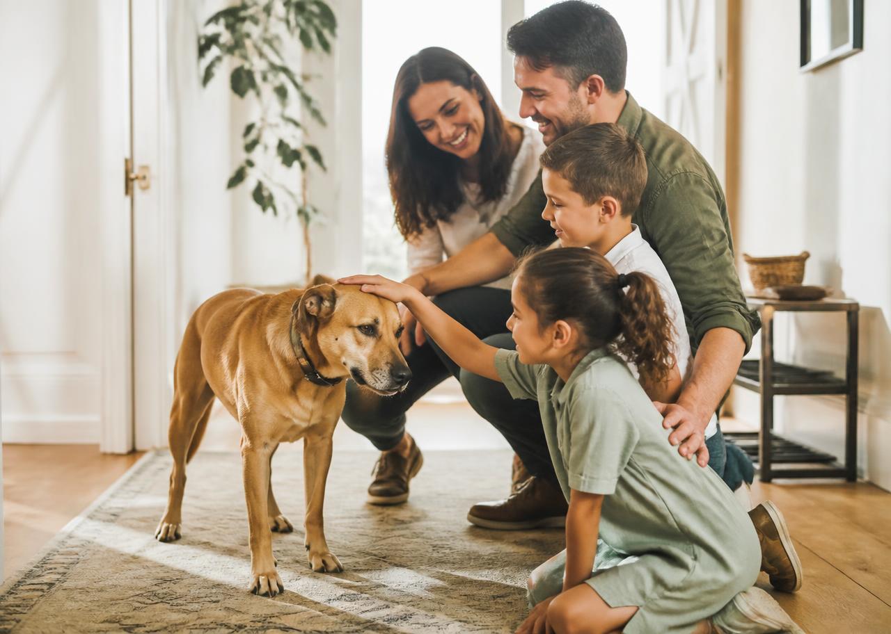 Family with two children gently greeting a calm rescue dog at home